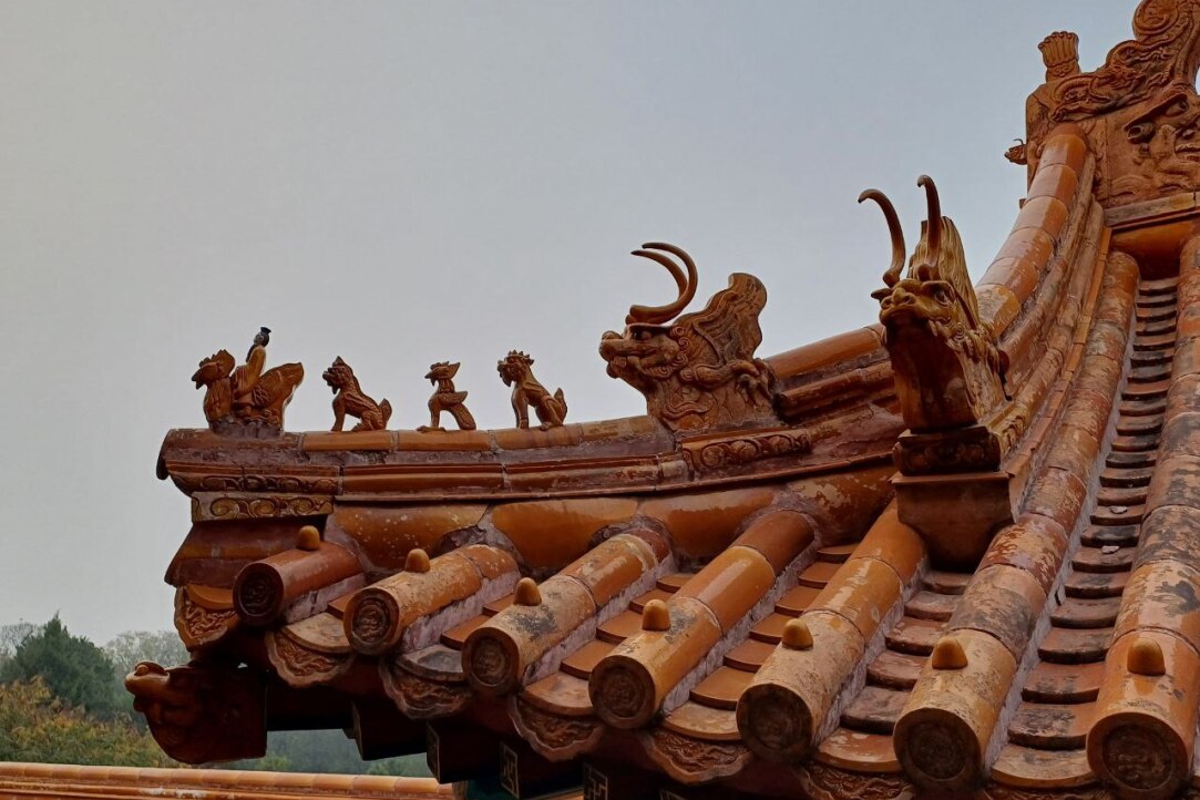 Under a Blooming Magnolia: How Russian and Chinese Scientists Create Solar Cells of the Future Under a Blooming Magnolia: How Russian and Chinese Scientists Create Solar Cells of the Future